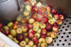 Äpfel werden in der Mosterei gewaschen