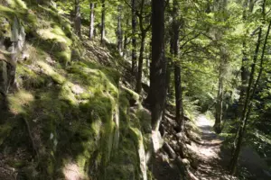 Wanderweg entlang der Schwarza