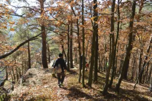 Wandern durch den Herbstwald am Kirchfels