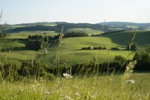 Blick in die Landschaft bei Bechstedt