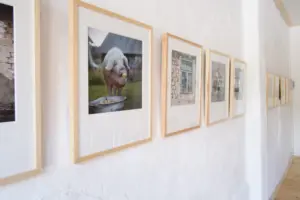 Mai 2017: Eröffnung des neuen Seminarraums mit einer Fotoausstellung der Fotografin Dörthe Hagenguth