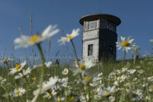 Der Barigauer Turm