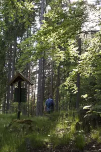 Wanderwege zum Griesbachfelsen im Schwarzatal