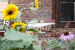FeWoAug2019_003